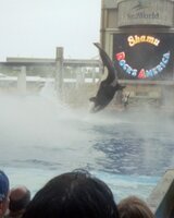 ellen (Елеонора Петрова)