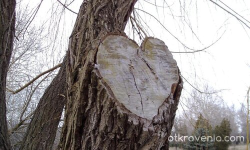 Не е ли любов..