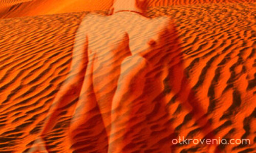 Залез в пустиня