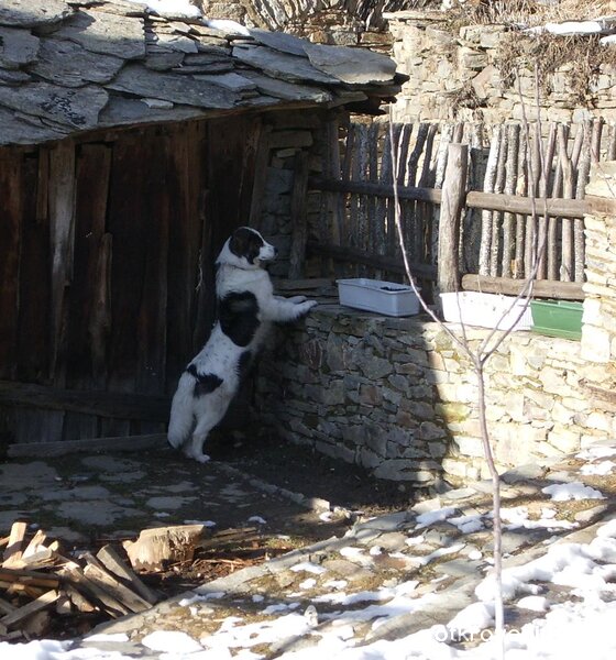 Я да метна едно око на комшийката