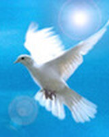 viktory_13 (Виктория Лозанова)