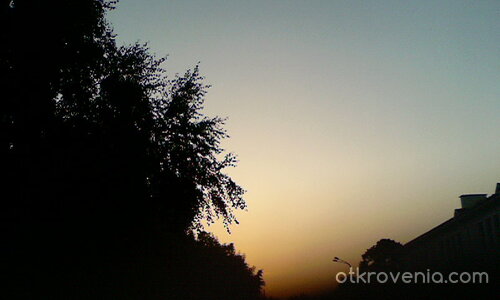Дървета и залеза над Сопот