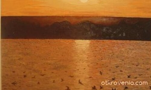 НОЩЕН ПОЛЕТ (масло)