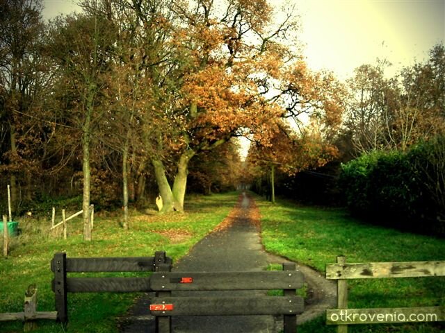 С техниката до тук