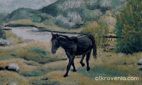 Ситроенче-туп:)