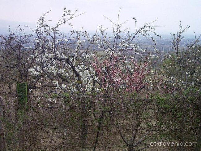 Пролетни нюанси