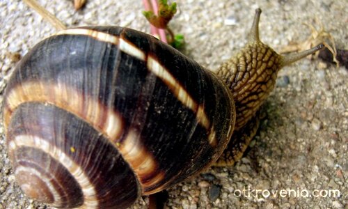 Охльо-бохльо, где така тръгнал си във тази сушина...? :)