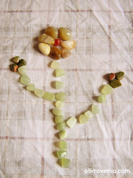 Каменно цвете