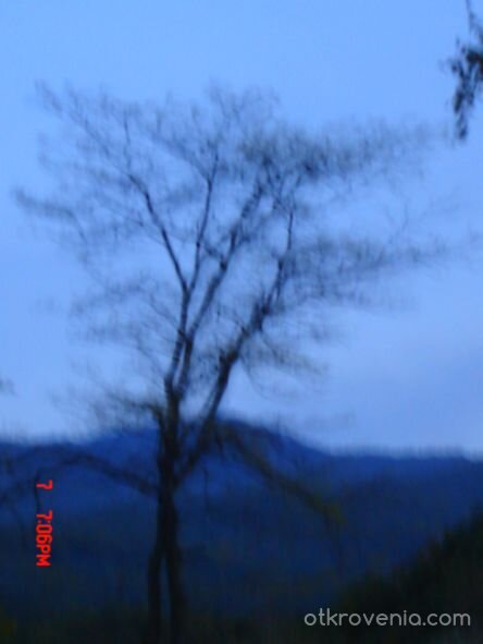 преди да притъмнее