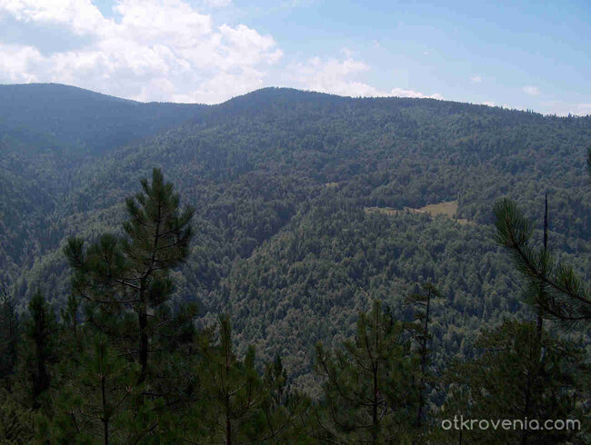 някъде из Велинград /пеизажи и елитни черборови насъждения/