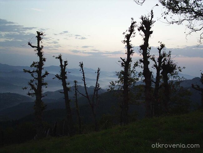 Siul Liom Tri (Следвай ме)