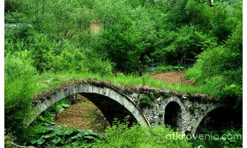 В джунглата :)