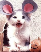 Malkata_Rusalka (Нуша Петрова)