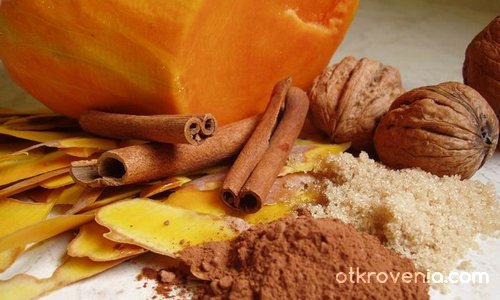 Предисторията на един тиквеник:)