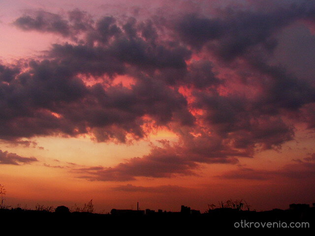 цветовете на залеза
