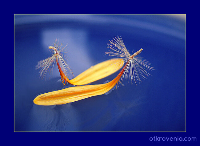 Разминаване