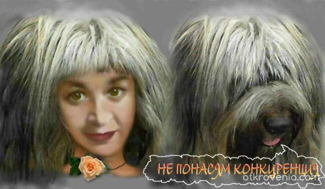 Не понасям конкуренция!