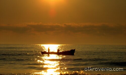 Злокобното в красотата...