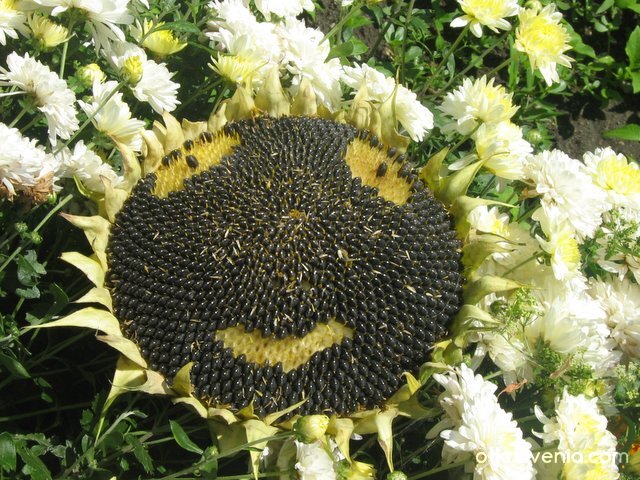 На Георги Колев, екипът му и всички усмихнати люде...:)