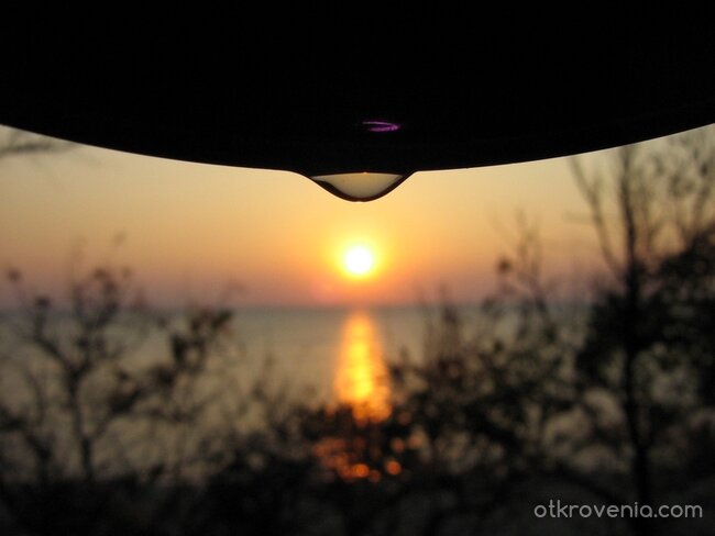 последна капка чай в зората на новия ден... ((до) за смокинката)