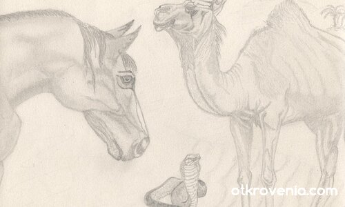 Малка Фауна