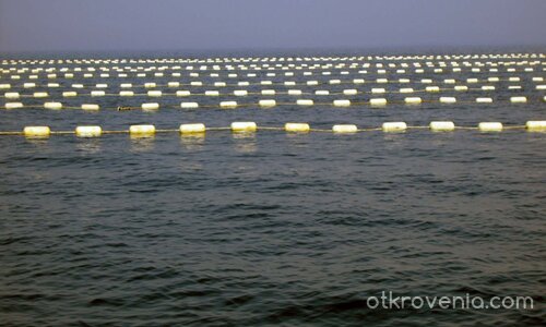 Морски лабиринт