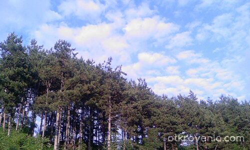 Шаренко небе с гора