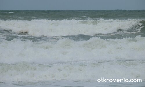 много съм ядосано