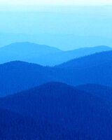 Елина (Елина)