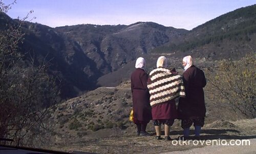 Сговорна дружина......