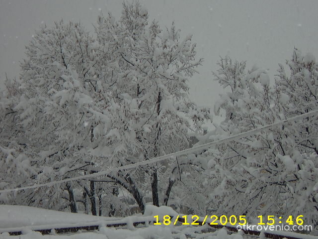 Снежна приказка