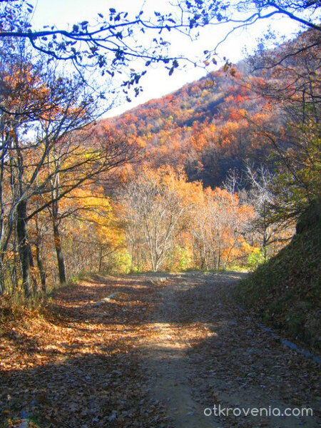 есеннен пейзаж