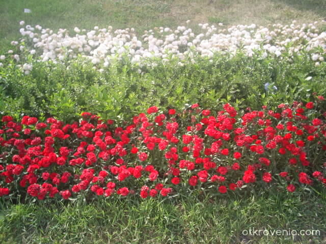 ПатриотизъМ