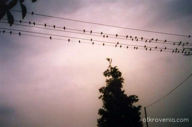 Преди да полетят