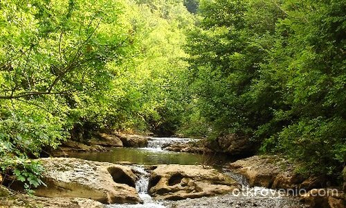 Просто рекичка...