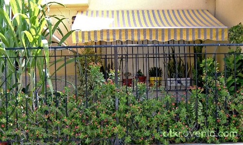 През оградата на съседите