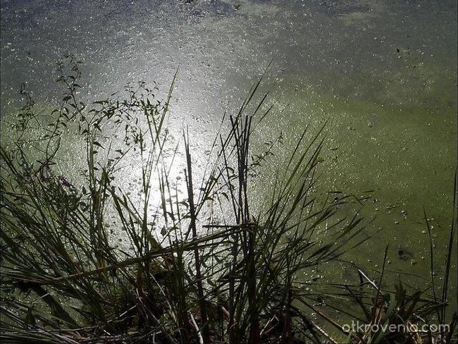 Реката на живота