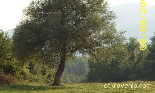 И сам войнът е войн