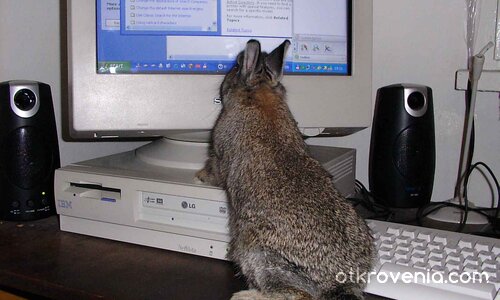 На курс по компютърна грамотност 1