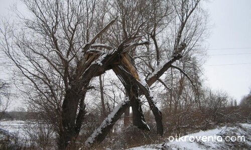 портал към Рая