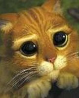 mimeto_we (Мария Маринова)