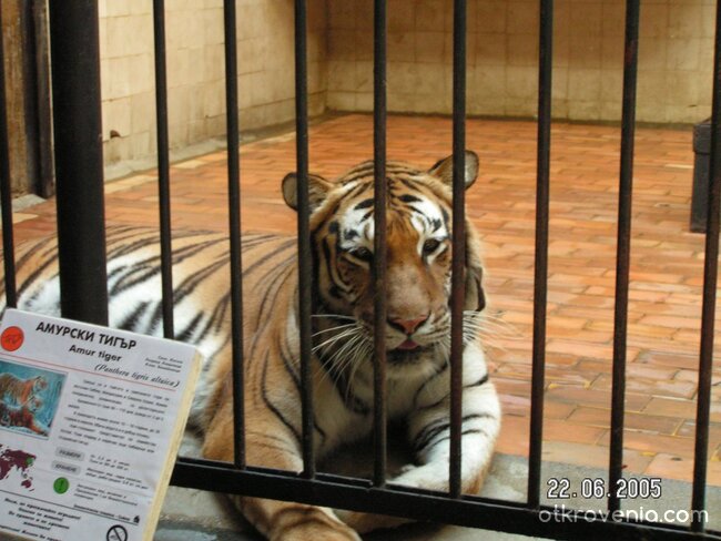 Приличам ли си, че ме мързи да погледна