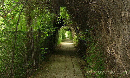 Светлината в края на тунела