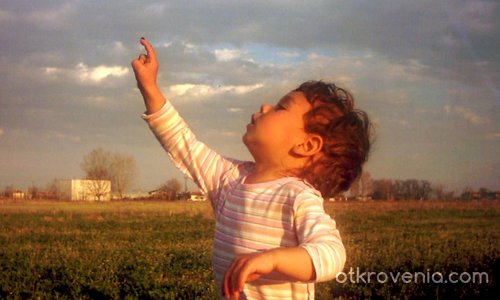 Хармония и нежност