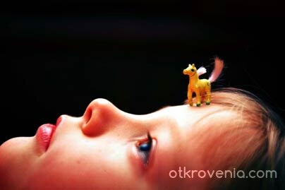 Напред, конче мое