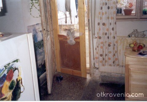 vision of inner world