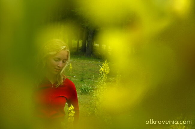 мечтание в жълто