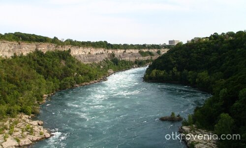 От Птичи Поглед #1