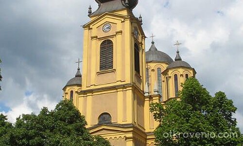 На красивия фон