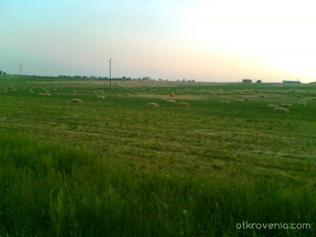 красотата на селски живот